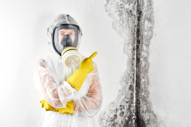 Forensic Mold Investigation in Bedford, IA