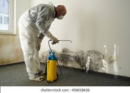 Best Environmental Consulting for Mold Prevention  in Bedford, IA